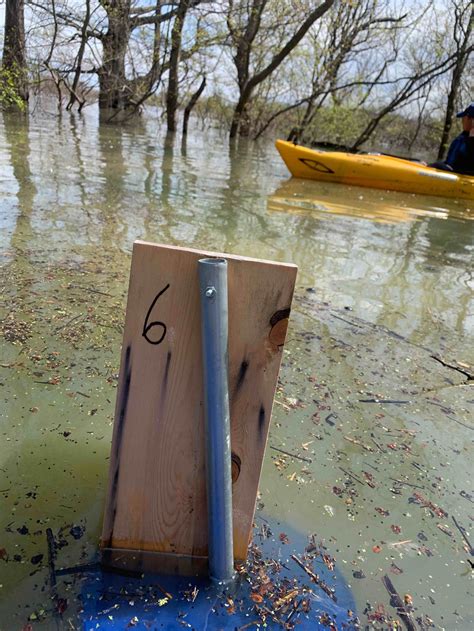 Prothonotary Warbler nest box project: 2022 update — Delta Wind Birds