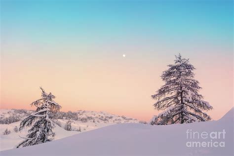 Magical sunset winter in Julian Alps mountains Photograph by Robert Fesus - Pixels