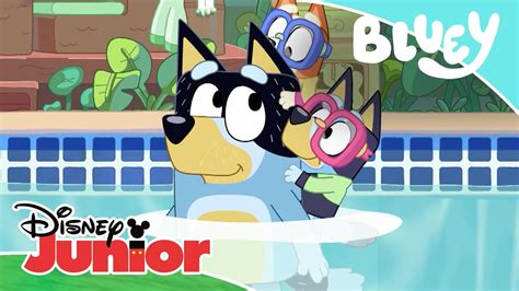 Bluey: Las Aventuras De Bluey Disney Junior Oficial | manminchurch.se