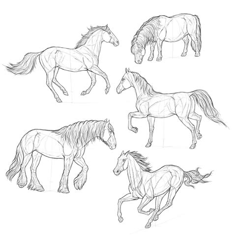 Horse Drawing Easy Step By Step at GetDrawings | Free download