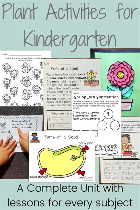 Plant Activities for Kindergarten in Every Subject - 4 Kinder Teachers