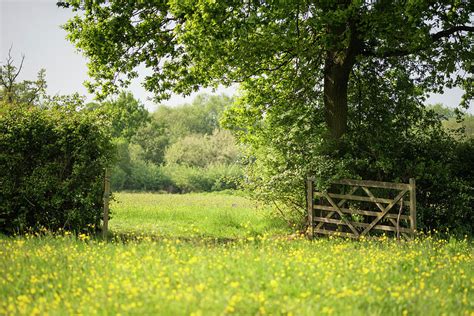 Beautiful English countryside landscape image of meadow in Sprin #2 ...