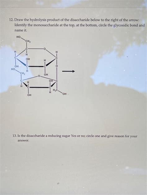 Solved 12. Draw the hydrolysis product of the disaccharide | Chegg.com