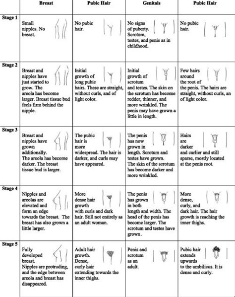 Puberty For Girls Stages
