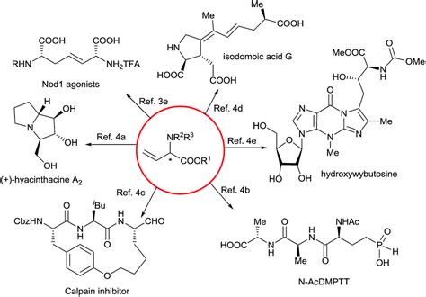 Enantioselective synthesis of α-alkenyl α-amino acids via N–H insertion reactions - Chemical ...