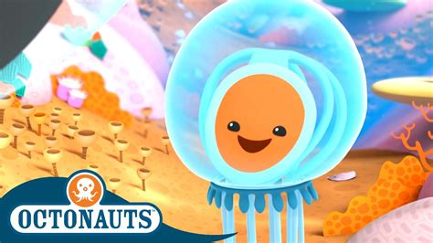 Octonauts - The Immortal Jellyfish | Cartoons for Kids | Underwater Sea Education - YouTube