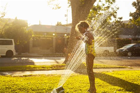 What Is Drought Stress In Lawns & How Do I Prevent It?