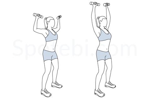 Dumbbell Shoulder Press | Illustrated Exercise Guide