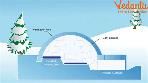 Know the Science Behind an Igloo Keeping You Warm