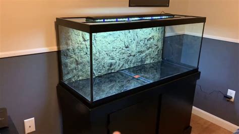 New 75 gallon fish tank set up - YouTube