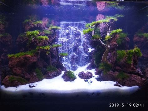 Aquascape waterfall | Aquascape, Fish tank terrarium, Terrarium scene