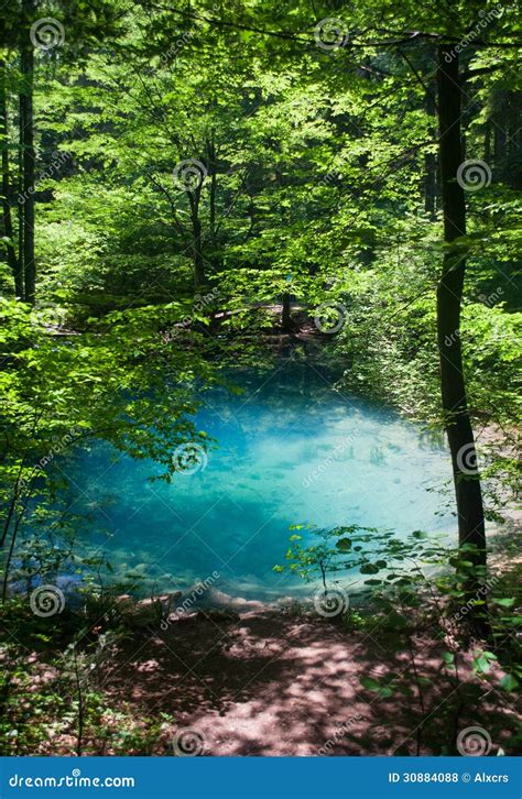 Oasis stock photo. Image of color, summer, outdoors, mountain - 30884088