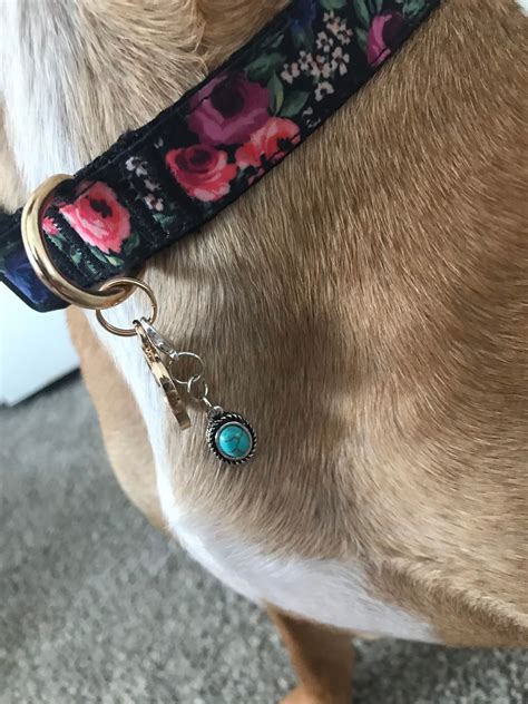 Dog Collar Charms | Etsy