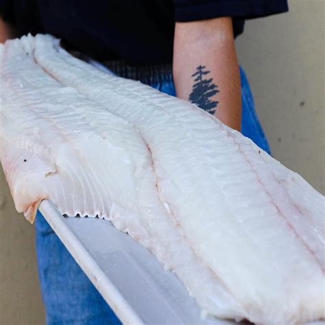 Fresh Wild Halibut Fillet - Jack's Fish Spot