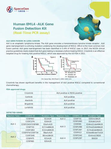 EGFR Gene Mutations Detection Kit - SPACEGEN - PDF Catalogs | Technical Documentation