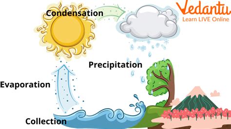 Condensation Water Cycle