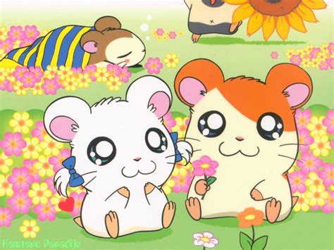 #TBT : Hamtaro