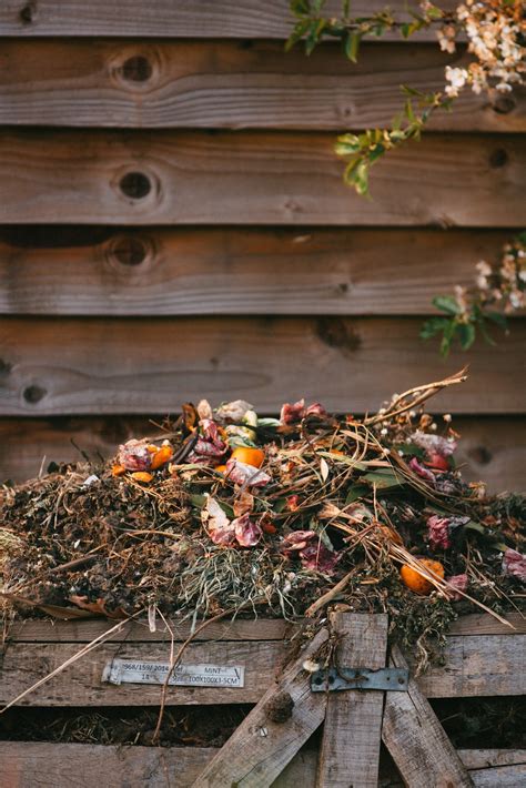 The Best Compost for Vegetable Gardens — Meadowlark Journal