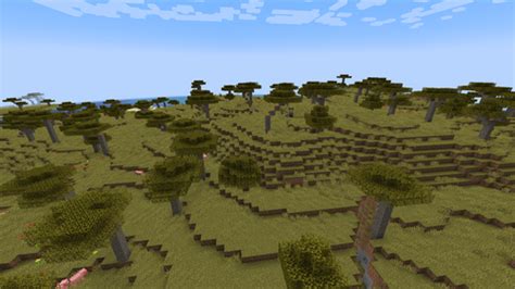 Savanna – Minecraft Wiki