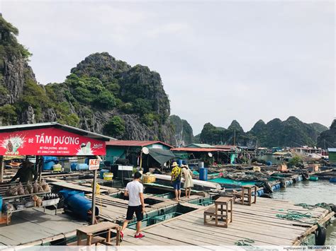 Visitors Flock To Cat Ba & Lan Ha Bay For Summer Vacations As Vietnam ...