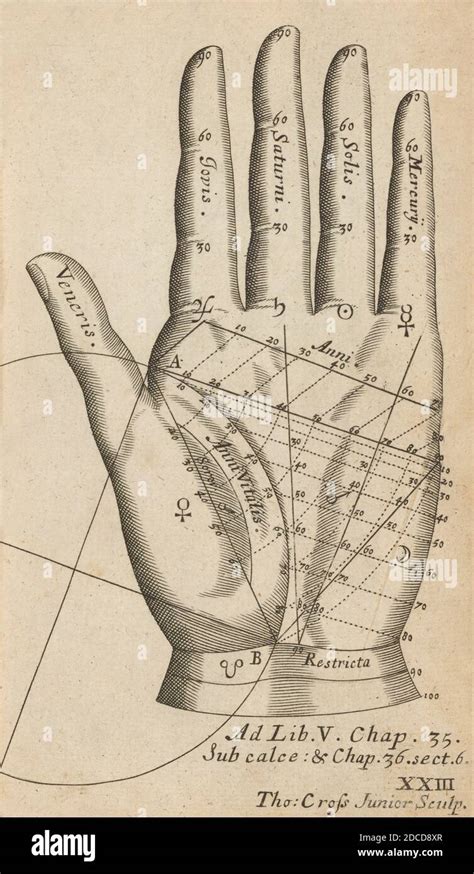 Palmistry chart hi-res stock photography and images - Alamy