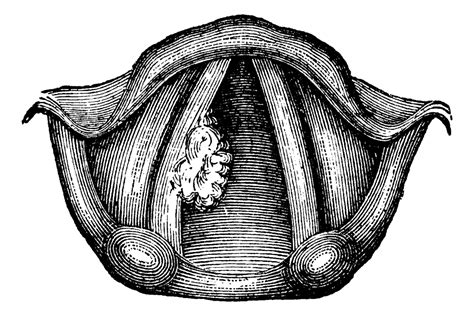 Throat Cancer - Net Health Book