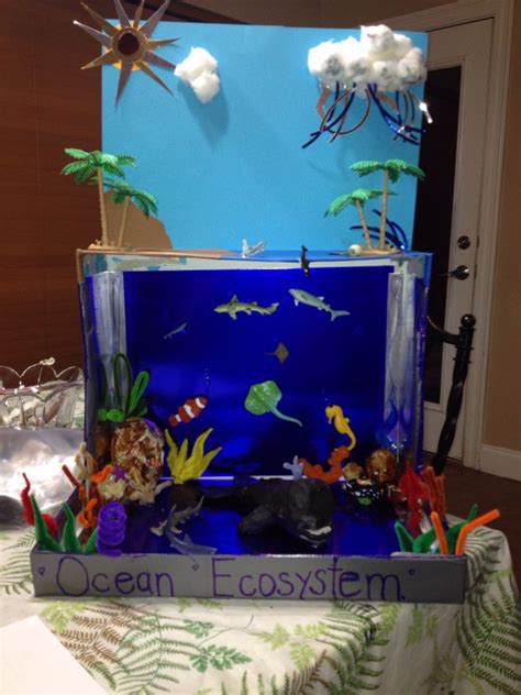 Ocean Ecosystem | Ecosystems projects, Ocean ecosystem, Habitats projects