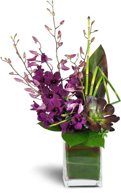 Dendrobium Orchid Flower Arrangements | Dendrobium Orchid Guide Tips From The Expert