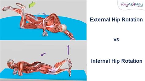 A Step-by-Step Guide to Improve Your Hip Rotation Strength