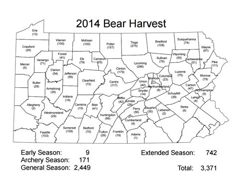 Black bear population up five-fold in Pennsylvania since 1970s | Local ...