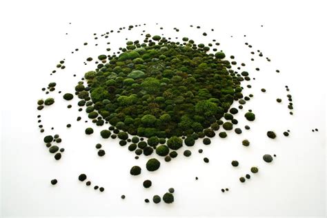 Moss Graffiti ~ Incredipedia