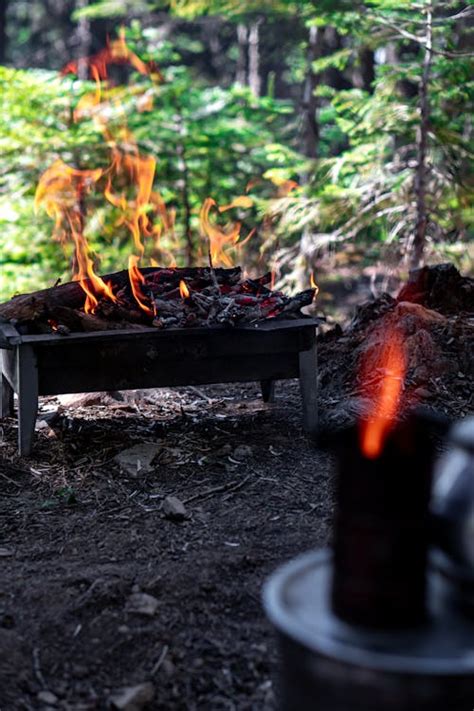 Fire and Charcoal in a Pit · Free Stock Photo