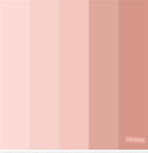 neutral blush color palette - Broad-Based Log-Book Image Bank