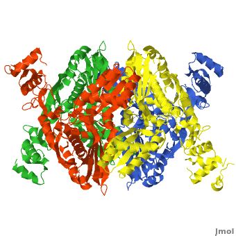 HMG-CoA Reductase - Proteopedia, life in 3D