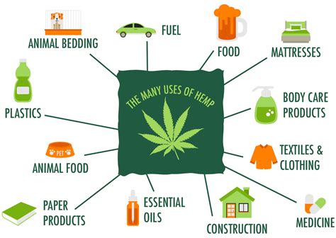 What Is Industrial Hemp? Industrial Hemp Definition - Happy Hemp