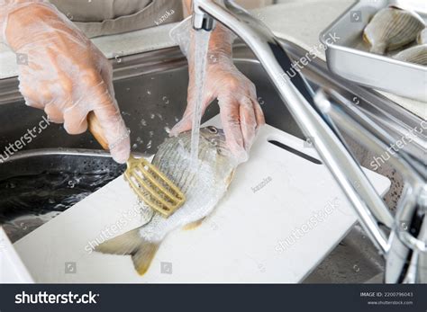 757 Remove Fish Scale Images, Stock Photos & Vectors | Shutterstock