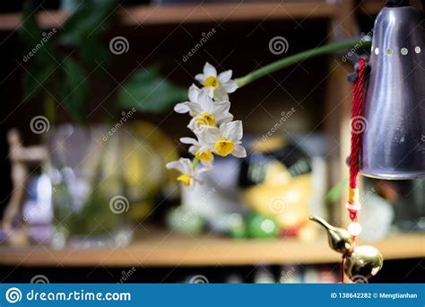 Narcissus Flower Arrangement 3 Stock Photo - Image of lycoris, goose: 138642282