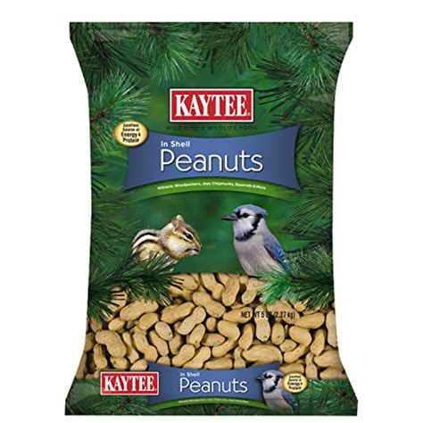 I Tested Bulk Peanuts for Squirrels and Here's Why They're a Game-Changer!