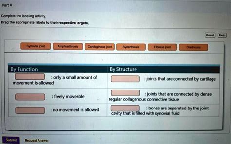 SOLVED: Complete the labeling activity. Drag the appropriate labels to their respective targets ...