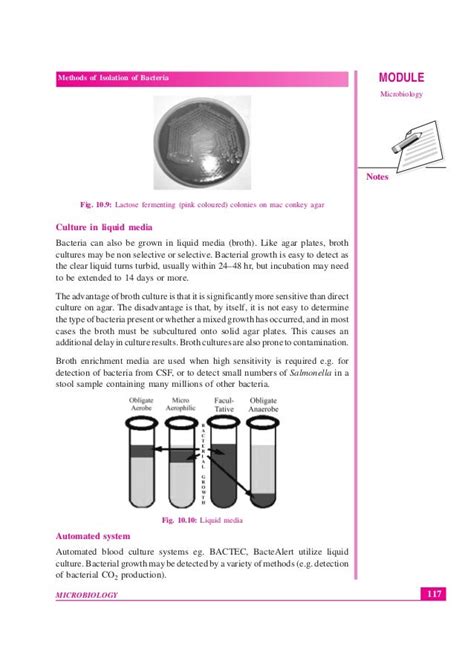 BACTERIA ISOLATION