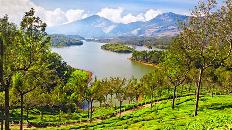 Kerala Tour Package: 04 Nights / 05 Days [Munnar, Thekkady, Kumarakom] | Everdine Tours