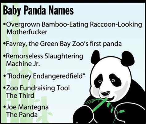 Baby Panda Names