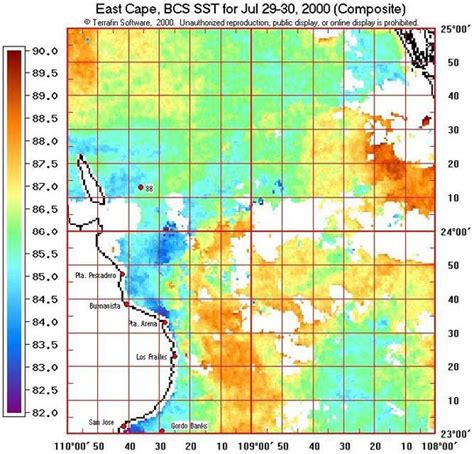 Terrafin Sea Surface Water Temperature (SST) Maps