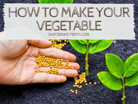 How To Make Your Vegetable Garden Fertilizer - Properly Rooted