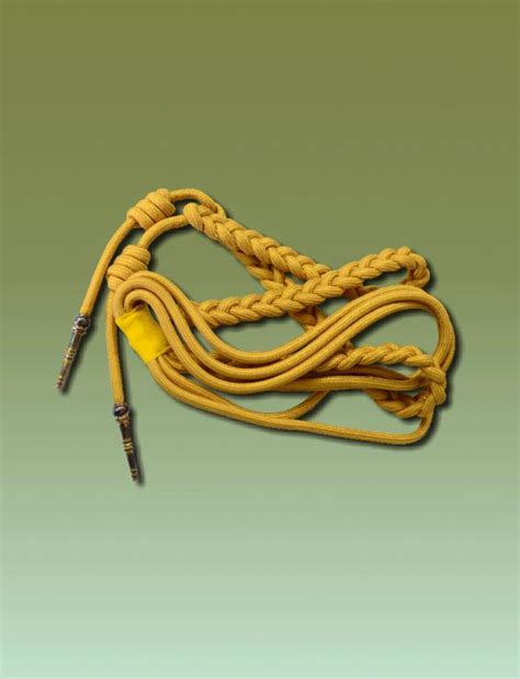 Aiguillette Brown