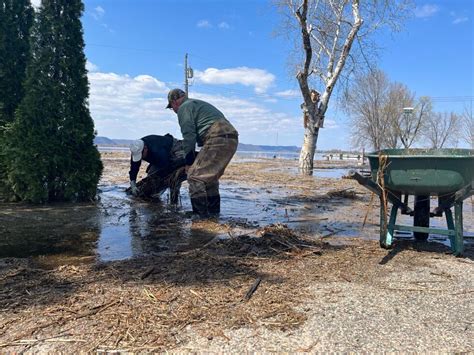 Mississippi River flooding causes debris build-up