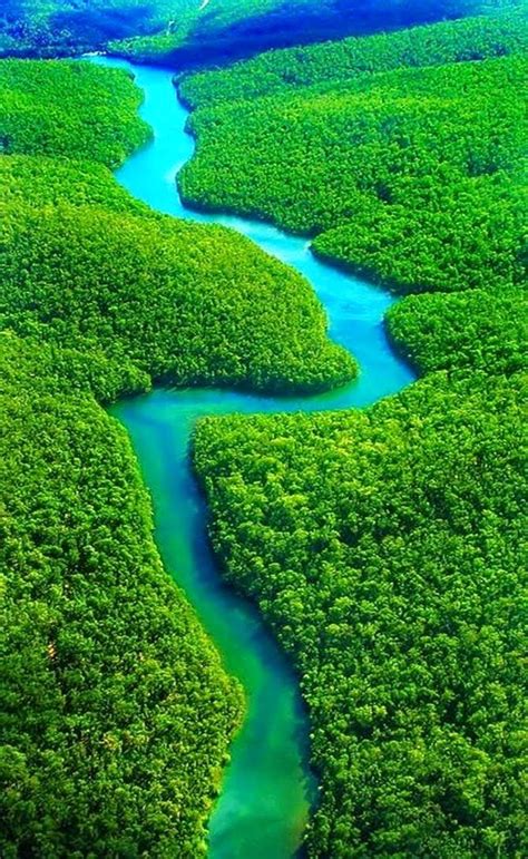 ONE DAY IN THE AMAZON RIVER BASIN - Our World Stuff