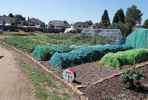 SAVING OUR ALLOTMENTS