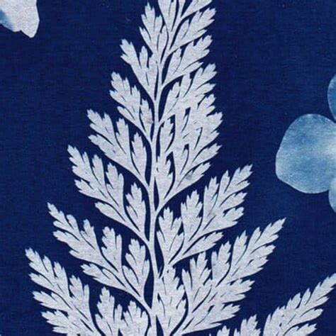 Hapa Zome (leaf printing) and cyanotype printing - Poplar Union