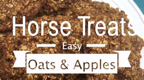 Top 10 Homemade Horse Treats & Recipes Without Molasses - Pet Care Stores